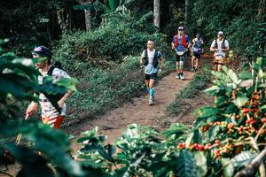 BIB: 
                            <button type="button" onclick="openModal(25837095)" class="btn btn-primary btn-sm float-right btn-popup" data-toggle="modal" data-target=".modal-high-quality">
                        <i class="fas fa-shopping-cart"></i> Add to Cart
                    </button>
                                            <button type="button" onclick="isThisMe(25837095, true)" class="btn btn-success btn-sm float-right btn-popup btn-isme hidden" data-toggle="tooltip" data-placement="bottom" title="นี่คือรูปของคุณใช่ไหม คลิกที่นี่เพื่อเอาเข้าอัลบั้ม">
                        <i class="fas fa-plus"></i> Add to album
                    </button>
                    <button type="button" onclick="isThisMe(25837095, false)" class="btn btn-warning btn-sm float-right btn-popup btn-isnotme hidden">
                        <i class="fas fa-ban"></i> Remove from album
                    </button>